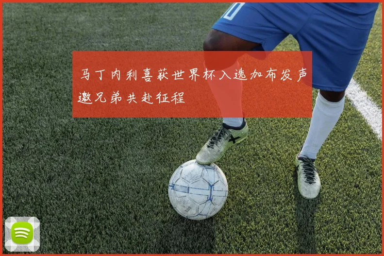 马丁内利喜获世界杯入选加布发声邀兄弟共赴征程
